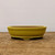 A side-view photograph of a shallow, oval-shaped glazed yellow bonsai pot resting on a rustic wooden surface. The pot features a rich, mustard-yellow glaze with a smooth, slightly matte finish that wraps around its exterior. A subtle horizontal line detail runs around the upper third of the pot, just below a slightly flared and rounded rim. Inside, the ceramic pot appears to be a natural, unglazed reddish-brown clay color. The pot is elevated by four small, subtly shaped feet integrated into the base. It is centered on a weathered wooden tabletop with a prominent grain and light scratches, set against a clean, neutral off-white background that highlights its traditional form and earthy color palette.