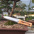 Tinyroots Hori Hori soil knife resting across a rectangular bonsai pot