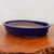 An oval-shaped, shallow ceramic bonsai pot with a vibrant, deep cobalt blue glaze sits centered on a polished, warm-toned wooden surface. The pot's exterior and rounded rim are covered in a smooth, glossy blue finish, while the interior and the slightly recessed base reveal the natural, matte, light tan clay from which it is crafted. The pot is positioned at a slight angle, showcasing its elegant curvature and the contrast between the saturated blue glaze and the earthy, unglazed interior. It rests on a rich, reddish-brown wooden table or display stand with a visible natural, textured wood grain. The background is a clean, neutral off-white wall, which provides a simple backdrop that emphasizes the rich color and traditional design of this Japanese-style glazed bonsai pot.