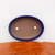 An overhead, top-down view of a shallow, oval-shaped Japanese bonsai pot. The pot features a lustrous, deep cobalt blue glazed rim and exterior, while the interior is left unglazed, showing the matte, earthy brown texture of the fired clay. Two large, circular drainage holes are centered at the bottom to ensure proper water runoff for tree health, and a small cluster of tiny wire holes is visible on one side for securing a tree in place. The pot is set against a minimalist white background, with its lower edge resting on a textured, warm-toned piece of natural-edged wood. This handcrafted ceramic container is a classic choice for showcasing a variety of bonsai species.