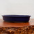 A side-view photo of a shallow, oval-shaped blue Japanese glazed bonsai pot resting on a polished natural wood stand. The ceramic pot features a vibrant, deep cobalt blue glaze with a smooth, glossy finish and a rounded rim. At the base, small unglazed feet are visible, providing stable support. The pot's elegant, low-profile design is characteristic of traditional Japanese aesthetics, making it an ideal container for various bonsai tree styles. The composition highlights the rich color contrast between the blue glaze and the warm reddish-brown wood tones of the display board, all set against a neutral, light-colored background.