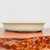 Shallow cream glazed Japanese pot with rounded rectangular corners