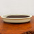 A side-view photograph of a shallow, cream-colored Japanese glazed bonsai pot resting on a rich, warm-toned wooden tabletop. The ceramic pot features an elegant oval shape with a low profile, characteristic of traditional Japanese design often used for forest plantings or wide-canopied trees. Its exterior is finished in a smooth, off-white cream glaze, accented by a thin, dark brown line tracing the upper rim. The interior and base of the pot reveal the dark, unglazed ceramic body. Positioned against a neutral, light-colored background, the pot's classic aesthetic and neutral tone are highlighted, showcasing it as a versatile and high-quality vessel for bonsai enthusiasts.
