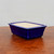 A rectangular glazed bonsai pot is featured in a professional product photograph, set against a minimalist, light gray background. The pot is finished in a vibrant, deep cobalt blue glaze that has a smooth, high-gloss sheen. Its classic rectangular design includes gently outward-sloping sides and a prominently rounded top rim. The interior of the pot is unglazed, showing a light cream or tan-colored ceramic material. Supporting the pot are four small, blocky feet at each corner, also showing the unglazed ceramic on their underside. The pot rests on a polished, dark brown wooden surface, with soft lighting that highlights the rich color of the glaze and the clean lines of the ceramic form. This elegant blue bonsai container is a functional piece of art, designed to complement the aesthetics of a bonsai tree.