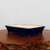 A rectangular, glazed ceramic bonsai pot in a rich, glossy cobalt blue color. The exterior features smooth, slightly flared sides and sits on four small, integrated feet at the corners. The interior of the pot is a contrasting light beige or cream color. The pot is displayed on a dark, polished wooden base with a natural, rustic burl edge, set against a plain, off-white background. This professional product photograph showcases the elegant design and vibrant finish of the ceramic container, suitable for a variety of bonsai tree styles.