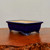 An elegant, rectangular cobalt blue glazed bonsai pot sits on a polished, warm-toned wood surface. The pot features a deep, glossy blue exterior with a slightly flared top rim and a subtle decorative band running around its middle. It is elevated by four ornate, scroll-style cloud feet that share the same rich blue glaze. The interior of the pot is unglazed, showing the natural, light tan color of the ceramic. The pot is photographed against a neutral, off-white background, which emphasizes its clean lines and vibrant color.