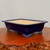 A rectangular, deep cobalt blue glazed bonsai pot sits on a polished, reddish-brown wood surface. The pot features a wide, slightly flared rim and a contrasting light beige interior. At each corner, the pot is supported by a decorative foot, each intricately detailed with a traditional cloud-like scroll motif. The glossy finish of the blue glaze reflects the light, while the rustic wood base underneath highlights the pot's elegant form. The entire scene is set against a plain, off-white background, putting the focus entirely on the craftsmanship of this ceramic bonsai container. This style of glazed pot is a classic choice for adding a pop of color and sophisticated style to any bonsai collection.
