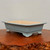 Rectangular light blue glazed pot on a reddish brown burl surface