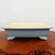 An elegant, light blue glazed rectangular ceramic bonsai pot is centered on a polished, reddish-brown wooden display slab. The pot's exterior features a soft, matte pastel blue finish, while the interior is a contrasting light cream or off-white color. Its design includes a subtly flaring top rim and a horizontal indentation running around the base. Four decorative, scroll-shaped "cloud feet" support the pot, adding a classic aesthetic touch. The entire scene is set against a clean, neutral white background, highlighting the pot's smooth texture and gentle color. This style of glazed bonsai pot is often used for deciduous or flowering bonsai trees to complement their foliage and blooms.