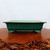 A detailed side-view photograph of a shallow, rectangular glazed bonsai pot in a vibrant, deep emerald green color. The pot features a classic design with a wide, slightly flared rim and is supported by four ornate "cloud" feet with subtle scrollwork carvings. The glossy green glaze exhibits a fine, intricate crackle pattern, known as crazing, which adds a layer of sophisticated texture. Inside, the pot shows the natural, unglazed tan ceramic. It is presented on a highly polished, natural-edge dark wood slab that rests against a clean, neutral off-white background. The elegant craftsmanship and rich color of this bonsai pot make it an ideal choice for complementing the lush foliage of various bonsai tree species.
