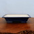 Front view of the rectangular deep blue glazed bonsai pot