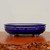 Side profile of the shallow oval pot in vibrant cobalt blue