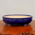 A professional product photograph of a shallow, oval-shaped ceramic bonsai pot with a deep cobalt blue glaze. The pot features an ornate raised relief pattern around the upper rim, consisting of a continuous wavy line accented with small, circular decorative studs or "pearls." The interior of the pot is a contrasting unglazed cream color. Four short, stout legs elevate the pot, which sits on a polished, rich brown wooden display stand with a natural burl edge. The background is a clean, neutral light gray, emphasizing the pot's vibrant blue color and elegant craftsmanship. This glazed bonsai pot is an ideal decorative container for showcasing mature bonsai trees.