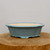 A light blue glazed ceramic bonsai pot with a shallow, oval shape and scalloped "mokko-style" edges. The exterior is coated in a soft matte blue finish, while the inside is a contrasting pale cream. The pot rests on four small integrated feet and is displayed on a thick, textured wooden log slice against a clean, off-white background.