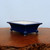A rectangular cobalt blue glazed ceramic bonsai pot, model 2136 from Bonsai Outlet, is featured in a three-quarter view. The pot has a deep, vibrant blue glaze with a high-gloss finish that reflects the light. It is designed with flared sides and a distinctive wide rim. Supporting the pot are four decorative rounded ball feet at each corner. The interior of the planter is a pale, unglazed cream color, providing a sharp contrast to the dark exterior. The pot is showcased on a rustic, dark-toned live-edge wood slab, set against a plain, light blue background, emphasizing its elegant and traditional design for plant enthusiasts.