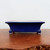A side-profile view of a rectangular glazed bonsai pot in a deep, vibrant cobalt blue. The pot features a smooth, glossy finish, with sides that gently curve outward toward a wide, prominent top rim. It is elevated by four small, rounded "cloud" feet at the corners. The blue bonsai pot is displayed on a rustic, textured wooden surface against a neutral, off-white background, highlighting its rich color and elegant shape.