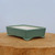 Shallow rectangular pot in matte mossy green on light brown wood