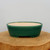 A high-gloss, deep forest green glazed bonsai pot with an oval, shallow design sits centered on a thick, natural wooden pedestal. The exterior of the ceramic pot features a vibrant, smooth glaze that catches the light, while the interior is unglazed, revealing its natural light tan clay color. The bonsai container has a slightly tapered body and is supported by a low-profile base with discreetly integrated feet for stability and drainage. The pot is displayed against a clean, neutral off-white background, emphasizing its elegant form and rich emerald color, making it an ideal choice for various bonsai styles.