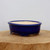 A vibrant cobalt blue glazed bonsai pot with a glossy, reflective finish. The oval-shaped pot features four short, decorative cloud-style feet and a wide rim, with a contrasting cream-colored interior. It sits on a thick, rustic wooden slab showing natural wood grain, positioned against a plain, light-colored background.
