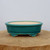 A shallow, oval-shaped glazed bonsai pot in a vibrant teal or sea-green color, showcased on a light-colored wooden cross-section. The pot features a glossy exterior with a delicate crackle glaze pattern, also known as crazing. Its interior is unglazed, revealing a natural cream-colored ceramic surface. The pot is designed with a thick, rounded rim and sits on four ornate feet adorned with intricate scrollwork or cloud-like motifs. The background is a clean, neutral off-white, emphasizing the elegant design and rich color of this ceramic bonsai container.