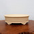 An elegant, 12-inch oval glazed bonsai pot in a soft cream-beige color, featuring a sophisticated crackle glaze finish that adds a fine, web-like texture to its surface. The shallow ceramic pot has a clean, rounded profile with a slightly flared rim at both the top and base. It is supported by four ornate, cloud-shaped 'ruyi' feet that elevate the container, providing both stability and a touch of traditional artistry. The pot is showcased on a rustic, dark brown wooden table or display stand, set against a neutral, off-white background that emphasizes its subtle color and classic design. This decorative pot from Bonsai Outlet is an ideal choice for housing a variety of bonsai tree styles, offering a balanced blend of functionality and aesthetic appeal.