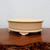 A front-facing view of a 12-inch oval glazed bonsai pot in a soft cream or light beige color. The pot features a glossy finish with a fine, crackled glaze texture, known as crazing, visible across its surface. It has a slightly outward-curving, rolled rim and is supported by four decorative, elegantly carved cloud-style scroll feet. The pot is showcased sitting on a polished, dark brown wooden table with a natural, rustic edge, all set against a neutral, clean white background to highlight the pot's smooth contours and traditional craftsmanship.