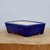 A vibrant six-inch rectangular glazed bonsai pot sits on a natural light wood surface. The exterior of the ceramic pot is coated in a rich, glossy cobalt blue glaze that catches the light, while the interior is a pale cream color. The pot features a classic design with slightly flared sides and small, square-cut feet at the corners and center for drainage and stability. It is presented against a clean, minimalist light grey background, highlighting its deep blue hue and elegant, functional form for housing a bonsai tree.