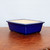 A vibrant cobalt blue glazed ceramic bonsai pot in a rectangular shape, featuring slightly flared sides and a smooth, glossy finish. The pot is shown from a front-diagonal perspective, resting on a textured wooden table against a plain, light-colored background. The interior is a pale beige tone, and the pot sits on small integrated feet. This classic bonsai container provides a bold, colorful base for a variety of tree species.