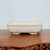 A rectangular, cream-colored glazed ceramic bonsai pot is shown in a centered, eye-level shot against a neutral, light-grey background. The pot features a smooth, glossy finish with elegant rounded corners and a slightly inward-sloping rim. Its soft cream color provides a neutral palette that would complement many bonsai tree species. The container is elevated on small, integrated rectangular feet, which are essential for providing necessary drainage and airflow for healthy root growth. It rests on a dark, polished wood display surface with a rich grain and a rustic, natural-edge detail visible in the bottom right corner. This professional-grade glazed bonsai pot combines traditional design with a clean, modern aesthetic.