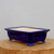 A rectangular, glazed ceramic bonsai pot in a deep, glossy cobalt blue. The pot features a wide, flared rim and subtle indented rectangular panels on each side, adding a touch of elegant detail. It is supported by four ornate "cloud" style feet with delicate scrollwork. The interior of the pot remains unglazed, showing the natural off-white color of the ceramic. The pot is positioned on a rustic, light-toned cross-section of a wooden log, which highlights its vibrant color against a minimalist, light-gray background. This classic blue bonsai pot is an ideal container for a variety of bonsai trees, providing a striking contrast to green foliage.
