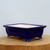 A beautiful, rectangular glazed bonsai pot in a deep, vibrant cobalt blue, shown from a slightly elevated side angle. The pot features a high-gloss finish that creates subtle highlights along its flared top rim and elegant raised panels on its sides. It is supported by four ornate, scroll-style "cloud" feet with delicate white accents where the glaze meets the base. The interior of the pot is a contrasting, unglazed cream-colored ceramic. The pot sits atop a thick, light-toned natural wood slab against a clean, neutral white background, emphasizing its sophisticated design and striking dark blue color. This classic ceramic container is ideal for showcasing a variety of bonsai tree species.