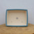 Top-down view of the light blue rimmed rectangular bonsai pot