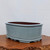 A high-angle, eye-level shot captures a professional-grade glazed bonsai pot, showcasing its deep, oval shape and a smooth, glossy finish in a serene light blue or pale celadon color. This elegant ceramic container features a thick, rolled upper rim and subtle horizontal bands near the top and bottom, adding a touch of traditional craftsmanship. The base of the pot is detailed with a decorative scalloped edge that creates small, integrated feet for stability and drainage. While the exterior is beautifully glazed, the interior remains unglazed, revealing the natural, reddish-brown terracotta clay. The pot is presented on a rustic, live-edge wood slab with a rough, gnarled texture, all set against a clean, minimalist off-white background that emphasizes the vessel's clean lines and soothing blue hue.