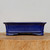 A detailed side-profile view of an eight-inch rectangular glazed bonsai pot in a vibrant, deep cobalt blue. The ceramic pot features a glossy finish with subtle mottling throughout the glaze, giving the surface a rich, professional texture. Its design includes elegant, slightly flared sides ending in a pronounced upper rim and a matching flared base. The pot is elevated by integrated, subtly arched feet in a traditional scalloped or "cloud" style. It is positioned centrally on a thick, circular slab of light-colored natural wood, showcasing the wood's organic grain patterns and raw edges. The entire scene is set against a plain, neutral off-white background, emphasizing the striking blue color and elegant, functional form of this bonsai container.