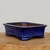 A high-quality 8-inch rectangular bonsai pot, finished in a rich, glossy cobalt blue glaze. The glaze features a subtle speckled texture that catches the light across its smooth, curved surfaces. The pot's design includes a gracefully flared upper rim and four elegant, cloud-shaped feet at each corner, adding a traditional aesthetic. The unglazed, reddish-brown interior and the underside of the feet reveal the natural ceramic clay beneath the finish. The pot is positioned on a rustic, circular slice of natural wood with visible grain patterns, highlighting its artisanal quality. The entire scene is set against a clean, neutral off-white background, which makes the vibrant blue color of the glazed ceramic pot stand out prominently.