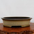 A detailed, eye-level studio photograph of a 16-inch cream-colored glazed bonsai pot. The pot is oval-shaped and shallow, designed for professional bonsai cultivation and display. Its main body features a smooth, matte cream-to-beige finish, accented by two decorative horizontal incised lines running around the lower portion. The wide, outward-flared top rim is highlighted with a contrasting dark chocolate brown glaze that bleeds slightly into the interior, which appears to be a deep reddish-brown. 

The pot is supported by four low, sturdy arched feet integrated into the base. It is shown resting on a polished, reddish-brown burl wood display stand with a natural, rustic edge. The entire composition is set against a plain, off-white background, emphasizing the elegant silhouette, earthy color palette, and fine ceramic craftsmanship of the vessel.