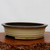A detailed studio shot of a 16-inch oval glazed bonsai pot. The pot features a matte cream-colored body with a contrasting dark brown rim that flares outward slightly. Three subtle horizontal ridges encircle the lower portion of the pot's exterior, which rests on small, integrated feet to allow for drainage. The bonsai pot is presented on a polished, reddish-brown wood slice with a highly textured, organic edge, all set against a plain, neutral white background.
