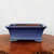 A front-facing view of a rectangular twelve-inch blue glazed bonsai pot. The ceramic pot features a deep, vibrant blue glaze with a subtle mottled or speckled texture across its surface. Its design includes an elegantly flared rim and a rectangular body that tapers slightly towards a decorative base. The pot sits on four short feet, each intricately detailed with small, carved scrollwork patterns. 

The very top edge of the rim is a darker shade, showing the clay beneath the glaze, while the interior is unglazed, displaying a natural reddish-brown clay finish. The pot is showcased on a polished, rich brown wood burl surface with natural, irregular edges, set against a minimalist, off-white background that emphasizes the pot's bold color and classic form.