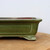 Close-up profile of the nine inch pot in mossy olive green