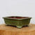 A nine-inch, rectangular green glazed ceramic bonsai pot, model 2404B from Bonsai Outlet, is showcased resting on a thick, rustic wooden slice. The pot features a soft, earthy olive-green glaze with a subtle sheen, accented by decorative recessed panels on its sides. It stands on four elegant, scrolled feet that elevate it slightly. The interior of the planter reveals a natural, unglazed reddish-brown clay, and the top rim is thick and slightly flared, adding to its classic design. The image is set against a clean, neutral white background, emphasizing the pot's fine craftsmanship and organic aesthetic, making it an ideal choice for potting a bonsai tree.