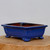 A high-quality, nine-inch rectangular blue glazed ceramic bonsai pot. The planter features a vibrant, deep cobalt blue glaze with subtle textures and a recessed decorative panel on its side. It sits on four ornate, scrolled cloud-style feet, providing an elegant lift. The pot's interior shows a natural, unglazed reddish-brown finish. It is displayed on a thick, polished light-wood tree trunk base against a neutral, off-white background, highlighting its suitability for showcasing a well-maintained bonsai tree.