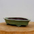 A side-angle view of an 11-inch shallow, glazed ceramic bonsai pot from Bonsai Outlet. The planter features a muted olive-green exterior glaze with a contrasting dark, iron-brown interior and rim. Its elongated, irregular oval shape is defined by soft, scalloped edges and a wide, flaring lip. The pot is supported by small, ornately carved "cloud" style decorative feet and is displayed on a light-colored, natural wood cross-section against a minimalist off-white background. This low-profile green planter, identified as model 2401E, showcases an elegant, handcrafted aesthetic suitable for various bonsai tree styles.