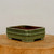 A six-inch glazed ceramic bonsai pot in a muted olive green color is shown centered on a thick, natural wood pedestal against a plain, off-white background. The low-profile, rectangular planter features decorative notched corners and a subtle horizontal band encircling the middle. The exterior has a smooth, matte finish, while the interior reveals an unglazed reddish-brown clay. Four small, sturdy feet support the pot at its corners, giving it a classic and balanced appearance suitable for a variety of bonsai trees.
