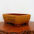 13 inch rectangular etched Yixing bonsai pot in two-tone mustard yellow