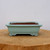 7 inch rectangular Yixing bonsai pot in pale turquoise with a distressed finish