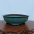 A rectangular, teal-colored Yixing glazed bonsai pot sits centered on a polished, dark wood stand with a natural, rustic gnarled edge. The ceramic container features a rich turquoise glaze with a soft sheen and a subtly lobed or scalloped side profile that adds texture and elegance. 

The pot is designed with a flat, horizontal rim and rests on four small, decorative feet at each corner. Its interior reveals the natural, dark-toned unglazed clay characteristic of Yixing pottery. Positioned against a plain, light blue-grey background, the image emphasizes the traditional craftsmanship and vibrant color of this "Yixing 2323A" bonsai container, making it a prominent piece for displaying various bonsai tree styles.