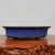 An eye-level, side-profile photograph of a shallow, oval-shaped ceramic bonsai pot finished in a vibrant cobalt blue glaze. The pot features a slightly flared rim and a smooth, polished finish that reflects light. Along the upper lip and the very bottom edge, the blue glaze deepens into a dark, nearly black charcoal color, adding depth and a traditional aesthetic to the piece. 

The pot is elevated by four small, rounded feet that match the dark trim, designed to allow for proper drainage and airflow. It sits on a reddish-brown, polished wooden display stand with a natural, rustic burl edge visible in the immediate foreground. The background is a clean, neutral off-white, which makes the rich blue color of the glazed ceramic stand out as the central focus of the image.
