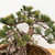 A detailed close-up photograph showcases the intricate structure and training of an imported Japanese White Pine (Five-Needle Pine) bonsai tree. The image focuses on the upper trunk and branching system, which are expertly shaped using thick, copper-colored bonsai wire wrapped meticulously around the limbs to guide their growth. The thick, aged trunk features a rugged, deeply textured gray bark that transitions into smoother surfaces on the younger, upper branches. 

Dense, healthy clusters of short, bluish-green needles sprout from the branch ends, with some tips showing a natural hint of golden-yellow. These needles are characteristic of the Pinus parviflora species, known for growing in groups of five. The tree is planted in a shallow, reddish-brown ceramic pot filled with a gritty, granular bonsai soil mix designed for optimal drainage. A bright pink plastic identification band is visible on one of the main branches. The entire composition is set against a clean, plain white background, emphasizing the architectural beauty and the careful craftsmanship involved in traditional Japanese bonsai cultivation.