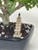 A small, tan-colored ceramic mudman figurine shaped like an ancient Chinese tower stands as a decorative accent within a bonsai tree arrangement. The miniature tower features six tiers with white-tipped corners and a dark, pointed roof, resting on a square base. It is placed on a bed of dark brown volcanic rock and white pumice soil, positioned next to the thick, textured, light-gray trunk of a bonsai tree. Lush, green oval-shaped leaves from the tree's canopy hang overhead. The entire scene is contained within a dark, glazed ceramic bonsai pot, set against a clean, off-white background to highlight the delicate details of the mudman figurine and the natural elements of the bonsai.