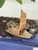 Close-up of the glazed Chinese boat figurine resting on bonsai gravel